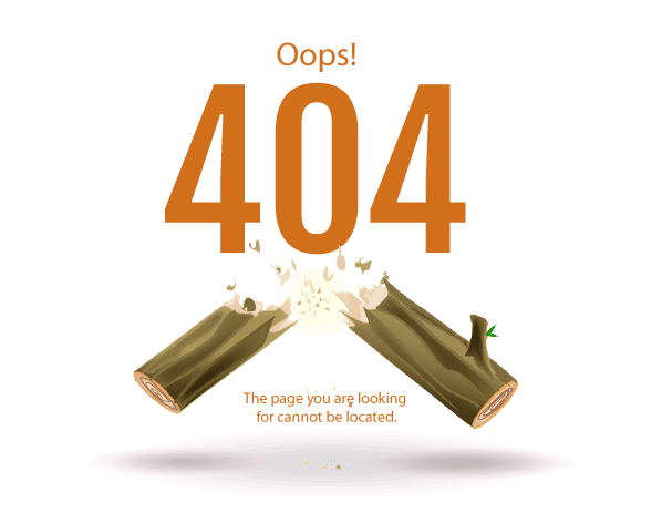 404-image